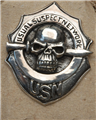 USN Pin Limited Edition                           