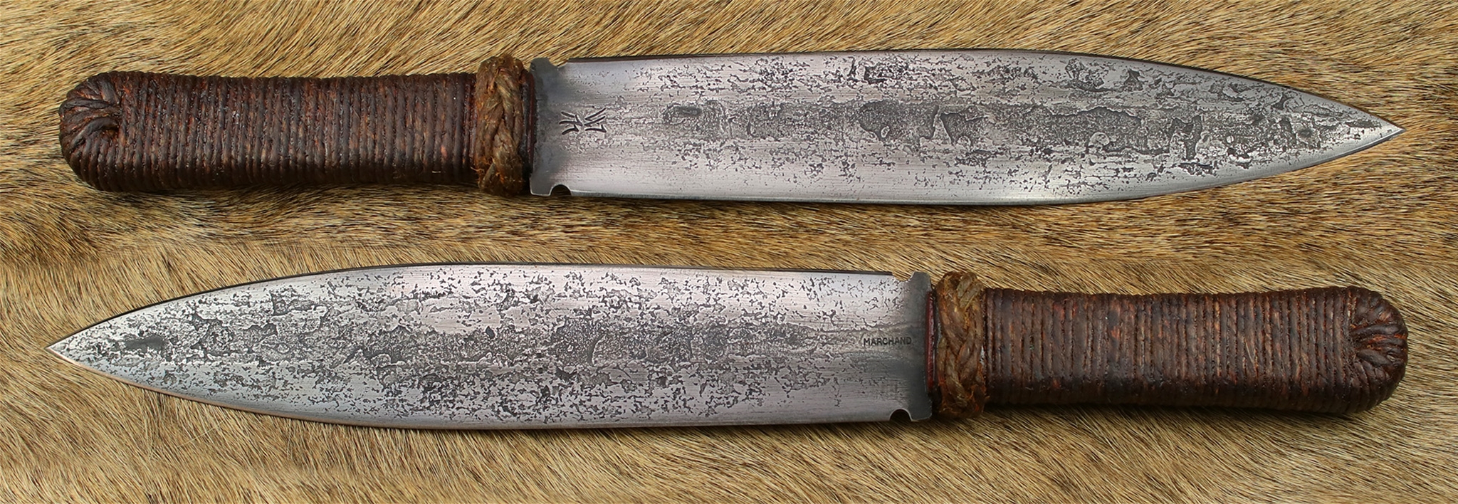 Bolo Small